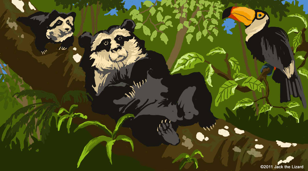 Spectacled bear