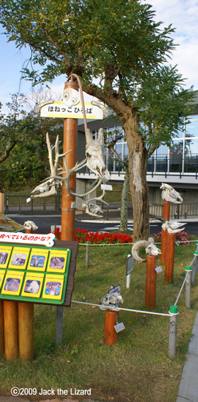 Akita Omoriyama Zoo