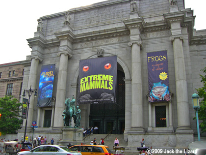 American Museum of Natural History