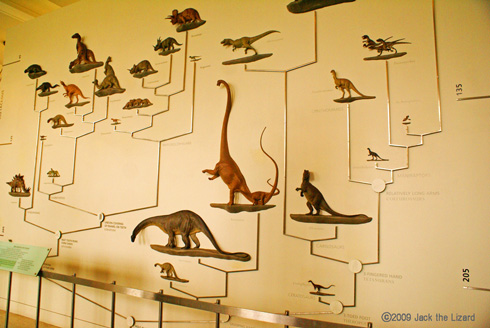 Family Tree of dinosaurus