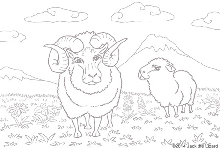 Coloring Pages of 2015 The Year of Sheep