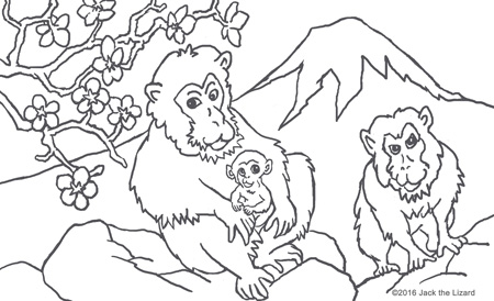 Featured image of post Egg Monster Legends Coloring Pages : Select from 35450 printable coloring pages of cartoons, animals, nature, bible and many more.