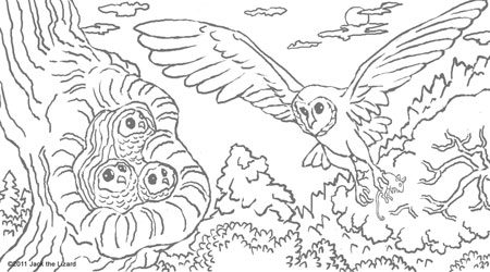 Coloring Pages For Adults Difficult Owls