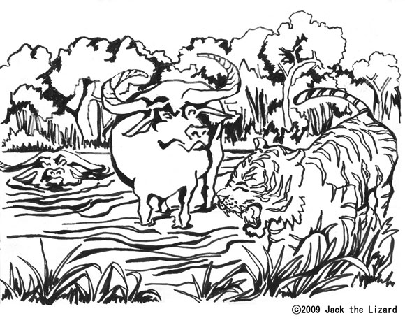 Buffalo Coloring Pages