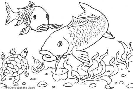 Coloring Carp