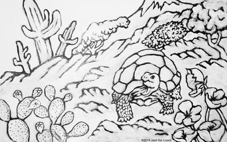 Coloring Pages of Desert Tortoise