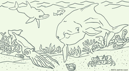 Coloring Pages of Dolphin