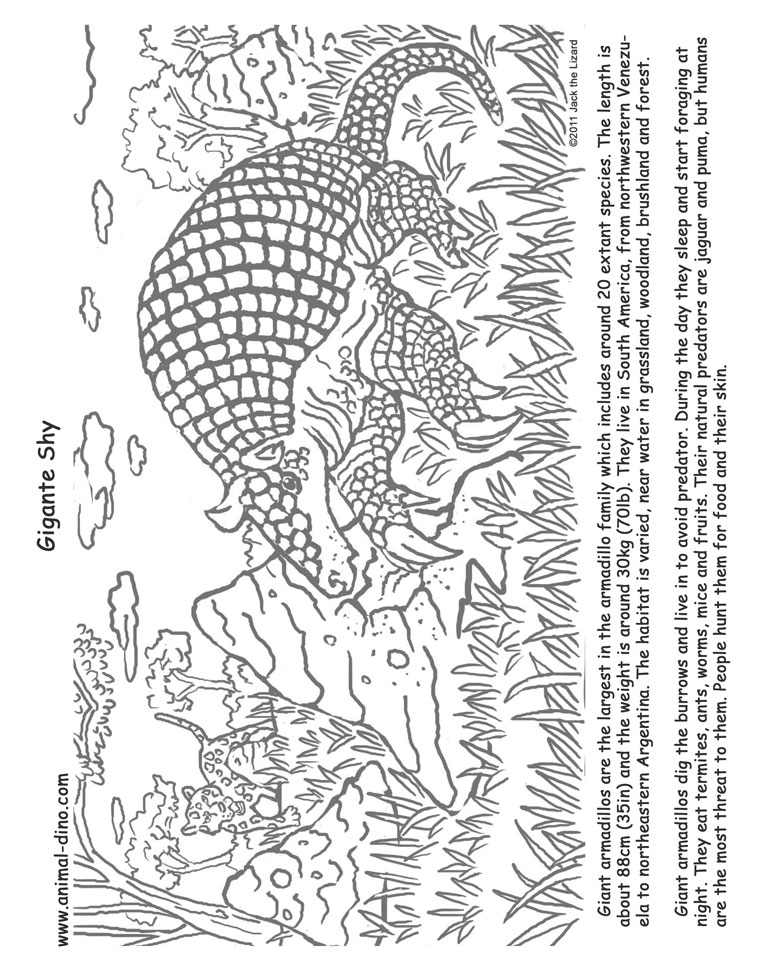 predator animal coloring pages