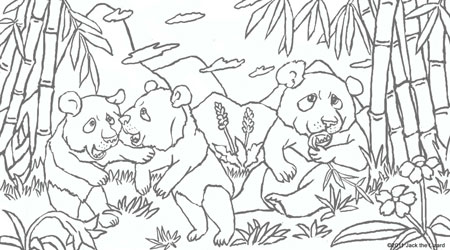 Coloring Pages of Madagascar Color