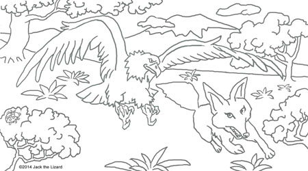 Animal Coloring Pages Jack Lizard World Golden Eagle