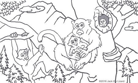 Coloring Pages of Golden Snub-nosed Monkey