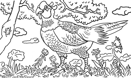 Coloring Pages of Green Pheasant