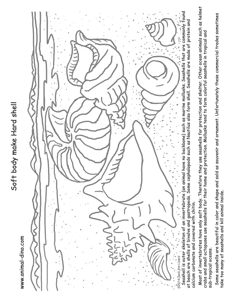 Animal Coloring Page (Soft Body Make Hard Shell) Print Size - Jack the  Lizared Wonder World