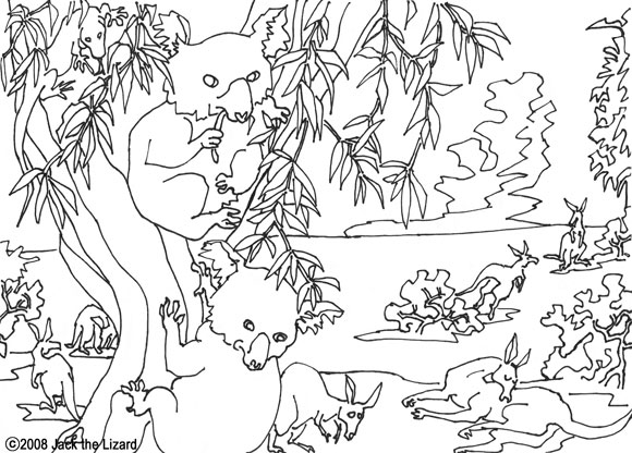 Colouring Page of Koala