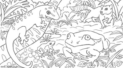 Coloring Pages of Madagascar Color