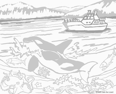 Coloring Pages of Orca