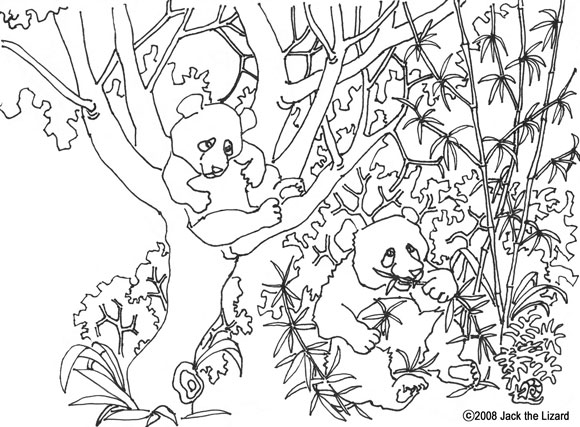 Colouring Page of Giant Panda
