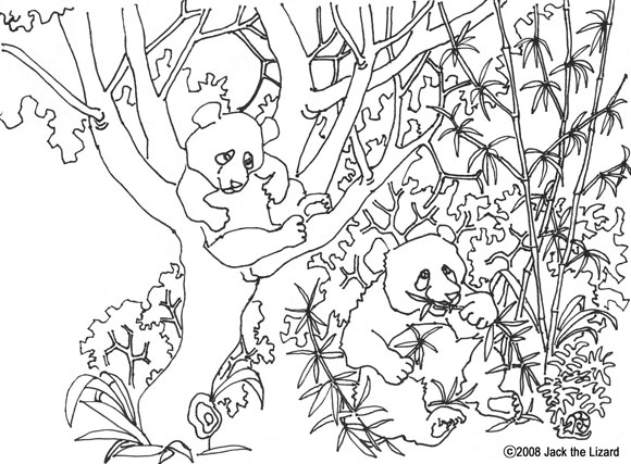 Panda coloring pages