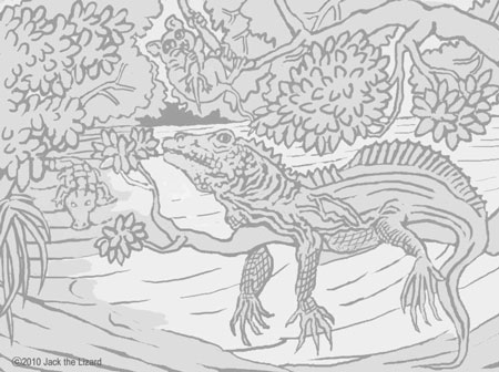 Coloring Pages of Philippine Sailfin lizard