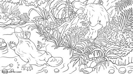 Coloring Pages of the Platypus