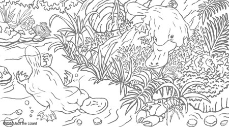 Animal Habitat Coloring Pages