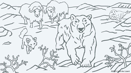 Coloring Pages of Polar Bear