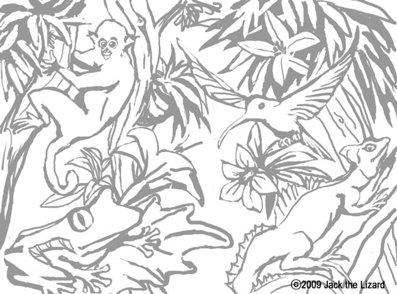 Coloring Pages of Animals in the Toropical Reinforest 