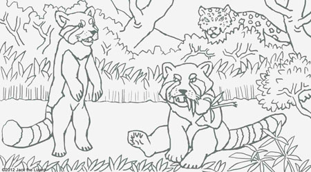 Coloring Pages of Red Panda