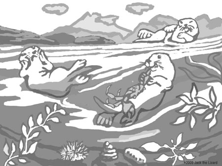 Coloring Pages of Sea Otters