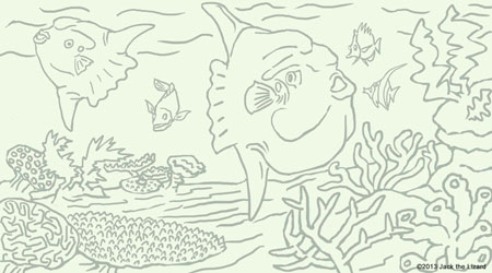 Coloring Pages of Ocean Sunfish