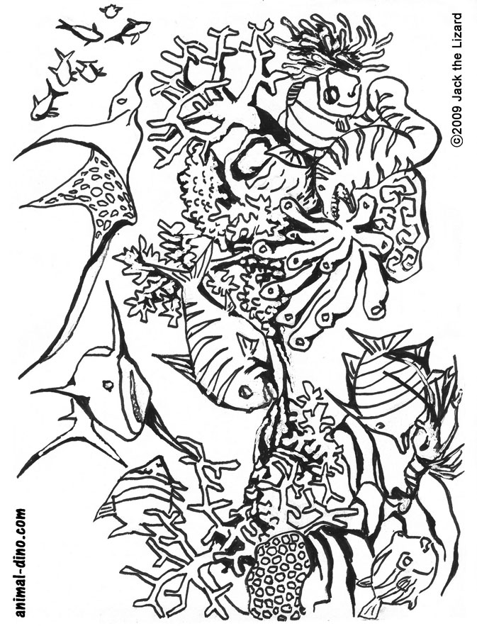 under sea creature coloring pages - photo #16