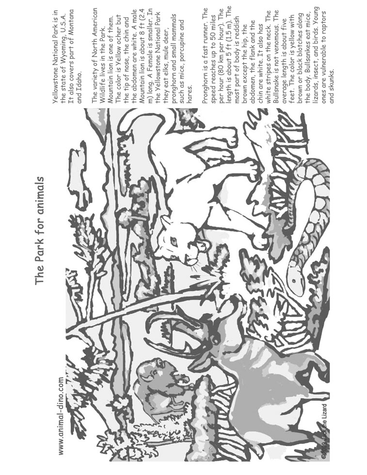 yellowstone coloring pages - photo #10