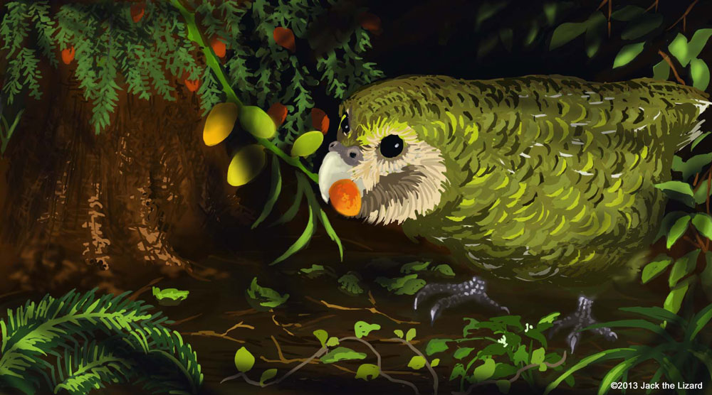 Kakapo