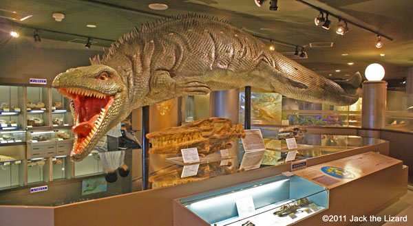 Mosasaurus (Replica)