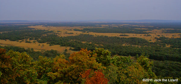 Kushiro Wetland