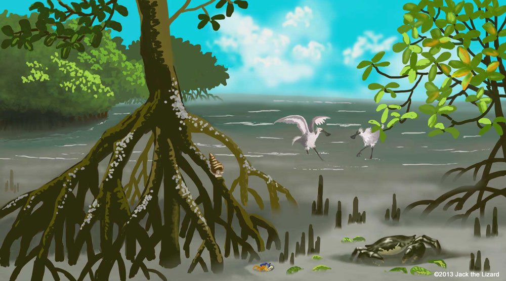 Mangrove - Jack the Lizard Wonder World