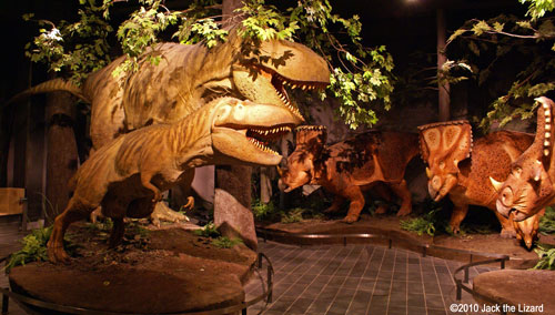 Canadian Museum of Nature