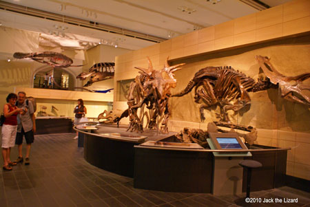 Canadian Museum of Nature