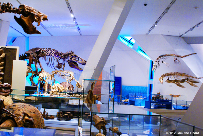 Royal Ontario Museum