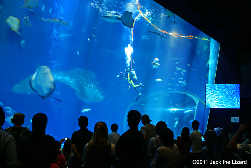 Ibaraki Prefectural Oarai Aquarium