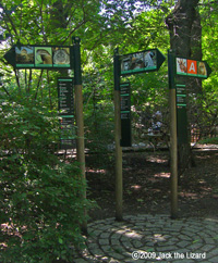 Bronx Zoo