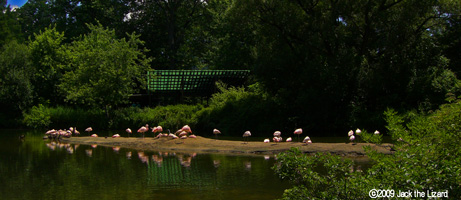 Bronx Zoo