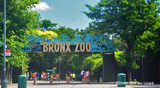 Asia Gate, Bronx Zoo