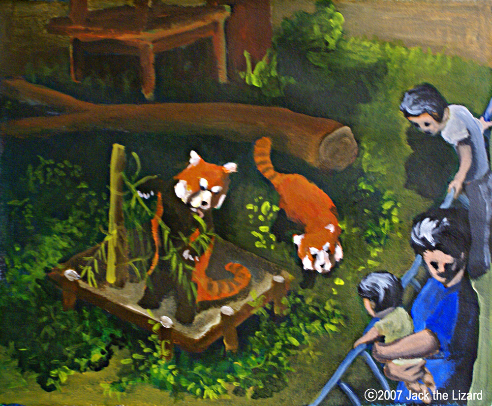 Futa the Red Panda, Chiba Zoological Park