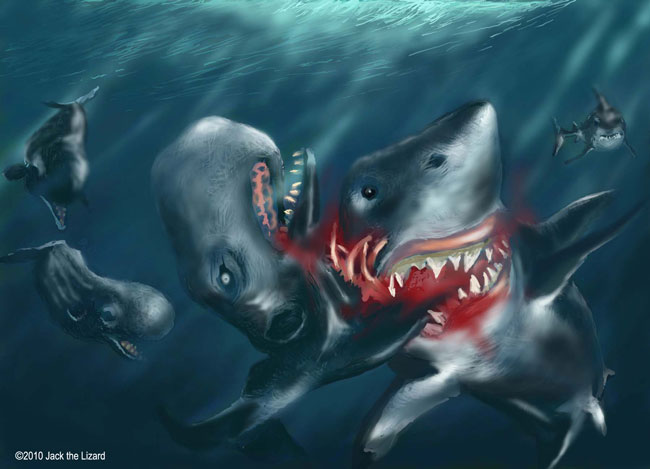 Megalodon