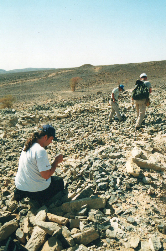  Outcrop in the Sahara Desert