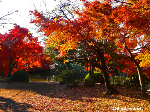 Higashiyama Zoo & Botanical Garden