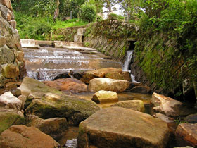 Japanese Giant Salamanders can go up a stream at the river with few concrete.