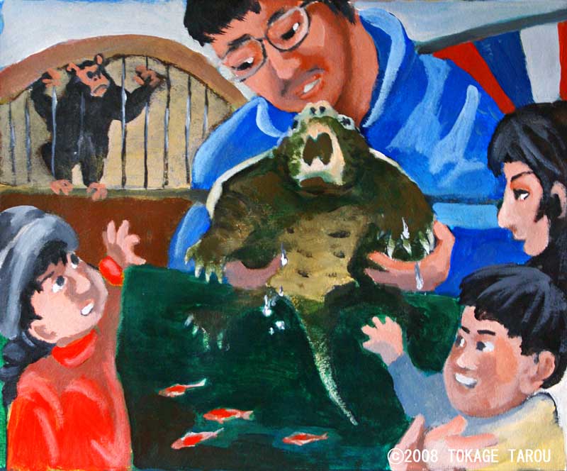 Alligator Snapping Turtles and Mr. Asano at Ikeda Zoo