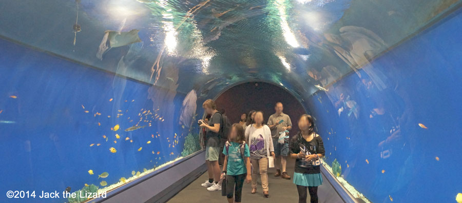 Osaka Aquaarium Kaiyukan, Aqua Gate